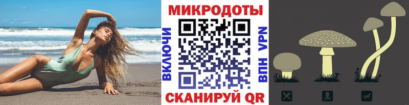 Галлюциногенные грибы Psilocybine cubensis  закладки  Советская Гавань 